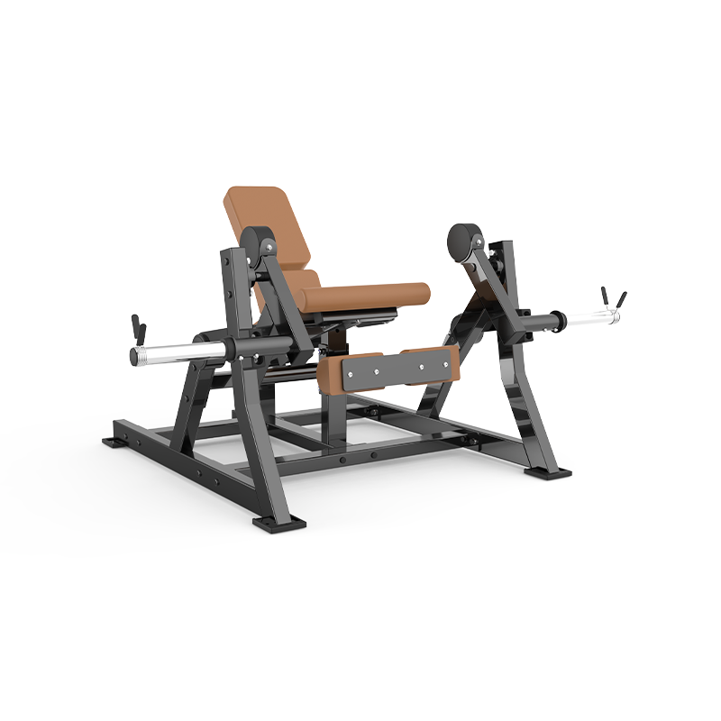 Seated Leg Extension